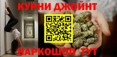 apvp Аша