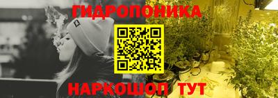 apvp Аша