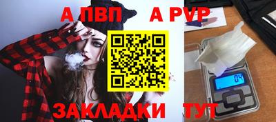 apvp Аша